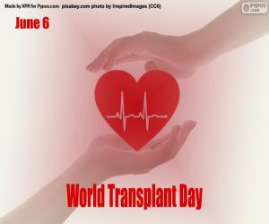 пазл Всемирный день трансплантации